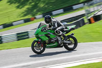 brands-hatch-photographs;brands-no-limits-trackday;cadwell-trackday-photographs;enduro-digital-images;event-digital-images;eventdigitalimages;no-limits-trackdays;peter-wileman-photography;racing-digital-images;trackday-digital-images;trackday-photos